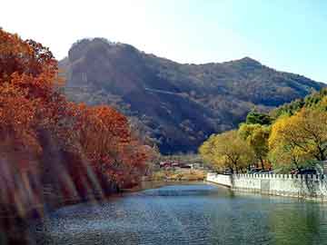 新澳天天开奖资料大全旅游团，小说神圣巨龙魔法师